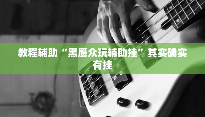 教程辅助“黑鹰众玩辅助挂”其实确实有挂 教程辅助“黑鹰众玩辅助挂”其实确实有挂