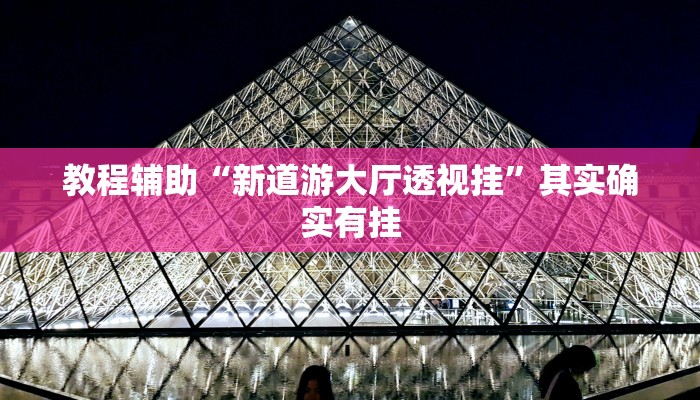 教程辅助“新道游大厅透视挂”其实确实有挂