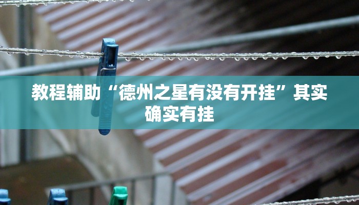 教程辅助“德州之星有没有开挂”其实确实有挂 教程辅助“德州之星有没有开挂”其实确实有挂