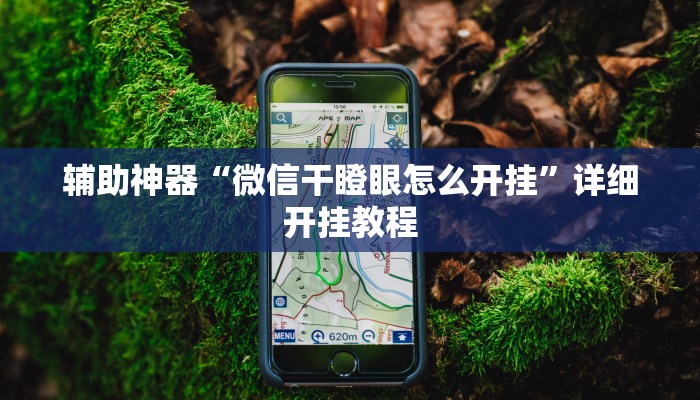 辅助神器“微信干瞪眼怎么开挂”详细开挂教程 辅助神器“微信干瞪眼怎么开挂”详细开挂教程