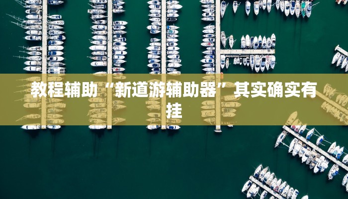 教程辅助“新道游辅助器”其实确实有挂