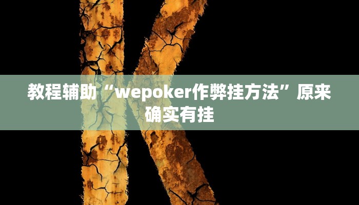 教程辅助“wepoker作弊挂方法”原来确实有挂