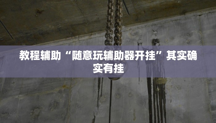 教程辅助“随意玩辅助器开挂”其实确实有挂