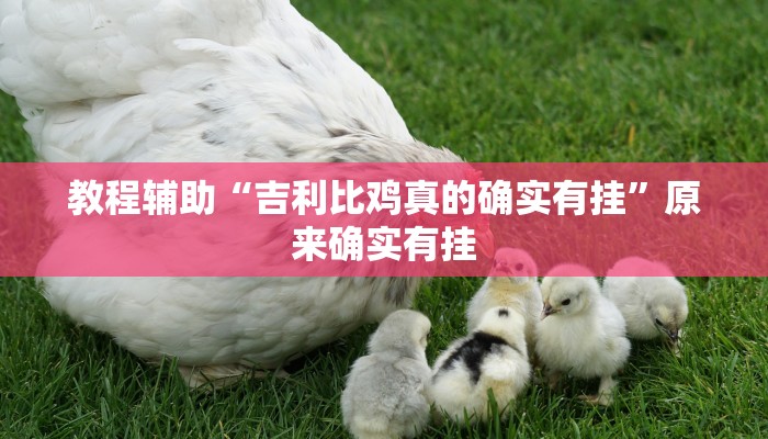 教程辅助“吉利比鸡真的确实有挂”原来确实有挂