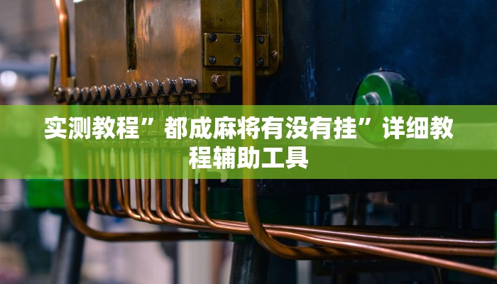 实测教程”都成麻将有没有挂”详细教程辅助工具