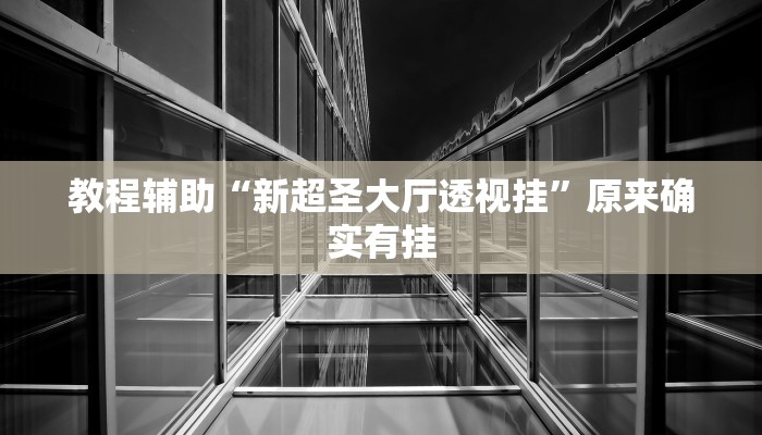 教程辅助“新超圣大厅透视挂”原来确实有挂