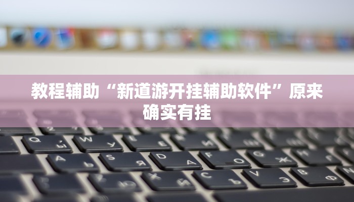 教程辅助“新道游开挂辅助软件”原来确实有挂