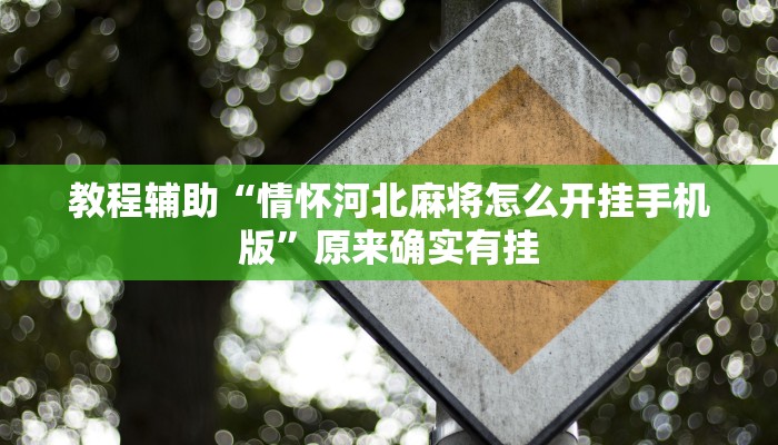 教程辅助“情怀河北麻将怎么开挂手机版”原来确实有挂 教程辅助“情怀河北麻将怎么开挂手机版”原来确实有挂