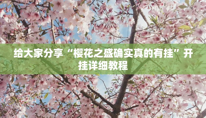 给大家分享“樱花之盛确实真的有挂”开挂详细教程
