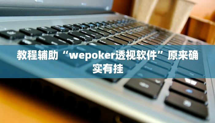 教程辅助“wepoker透视软件”原来确实有挂