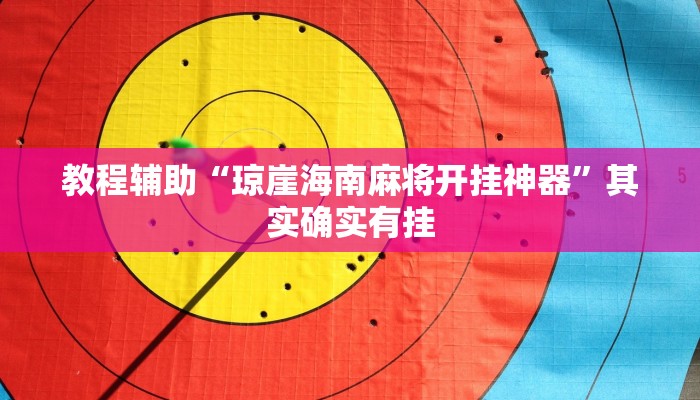 教程辅助“琼崖海南麻将开挂神器”其实确实有挂