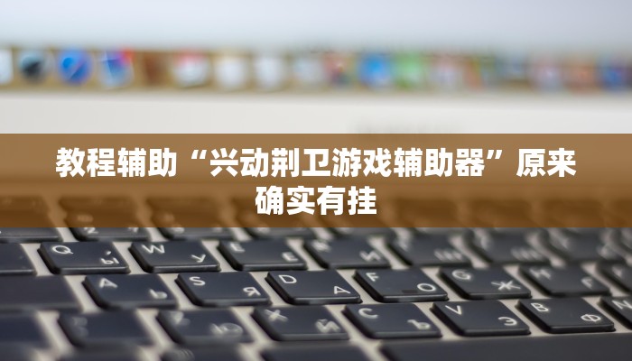 教程辅助“兴动荆卫游戏辅助器”原来确实有挂
