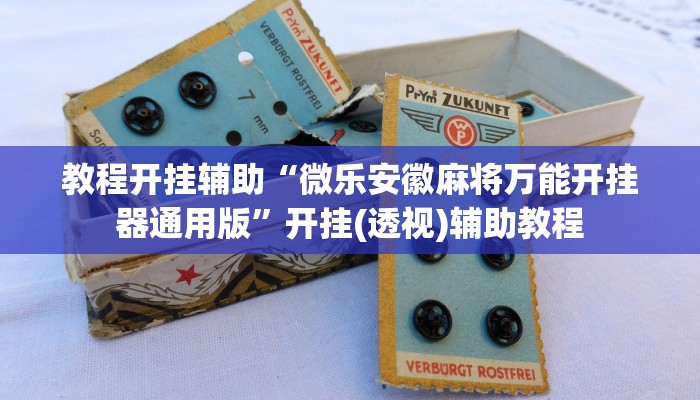 教程开挂辅助“微乐安徽麻将万能开挂器通用版”开挂(透视)辅助教程