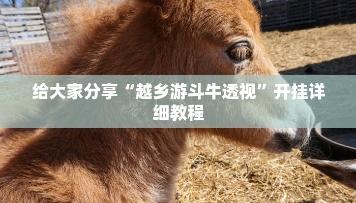 给大家分享“越乡游斗牛透视”开挂详细教程