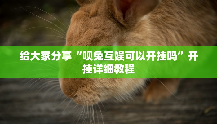 给大家分享“呗兔互娱可以开挂吗”开挂详细教程