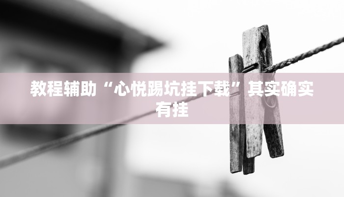 教程辅助“心悦踢坑挂下载”其实确实有挂