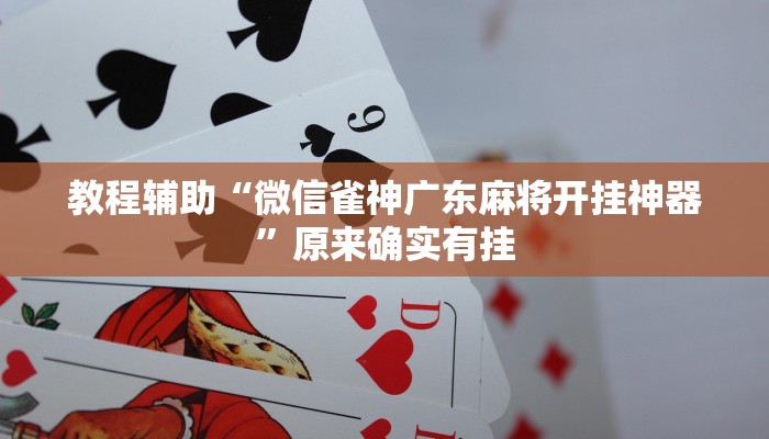 教程辅助“微信雀神广东麻将开挂神器”原来确实有挂