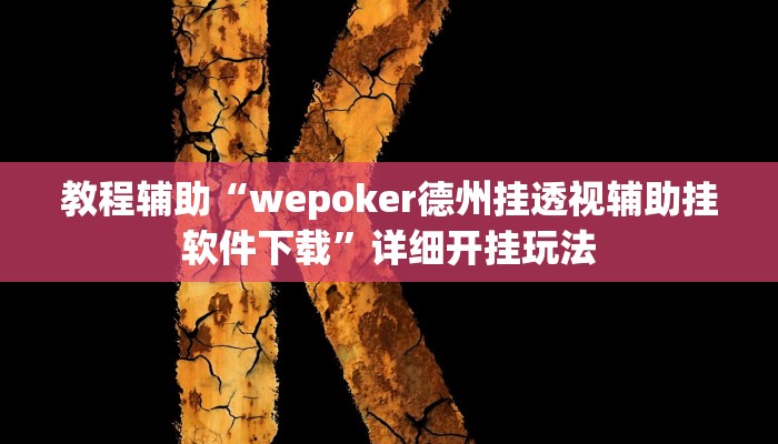 教程辅助“wepoker德州挂透视辅助挂软件下载”详细开挂玩法