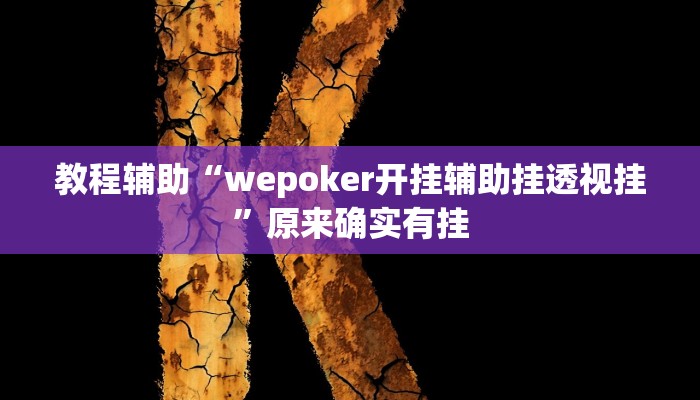教程辅助“wepoker开挂辅助挂透视挂”原来确实有挂