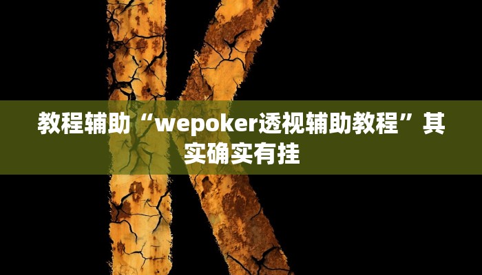 教程辅助“wepoker透视辅助教程”其实确实有挂