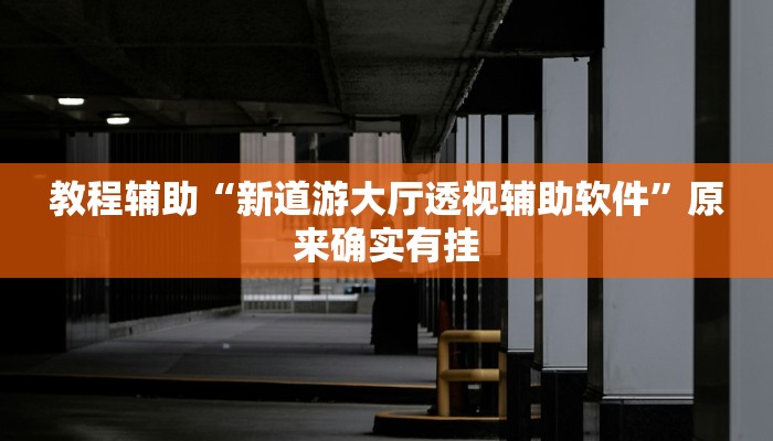 教程辅助“新道游大厅透视辅助软件”原来确实有挂