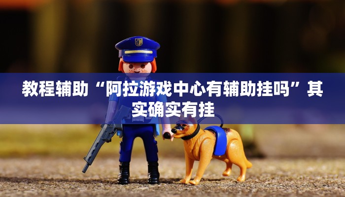 教程辅助“阿拉游戏中心有辅助挂吗”其实确实有挂