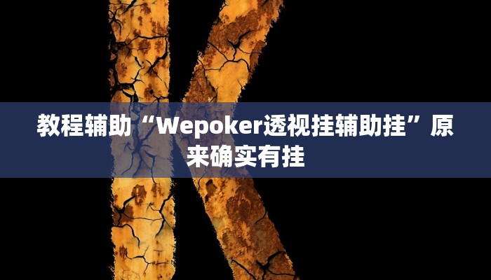 教程辅助“Wepoker透视挂辅助挂”原来确实有挂