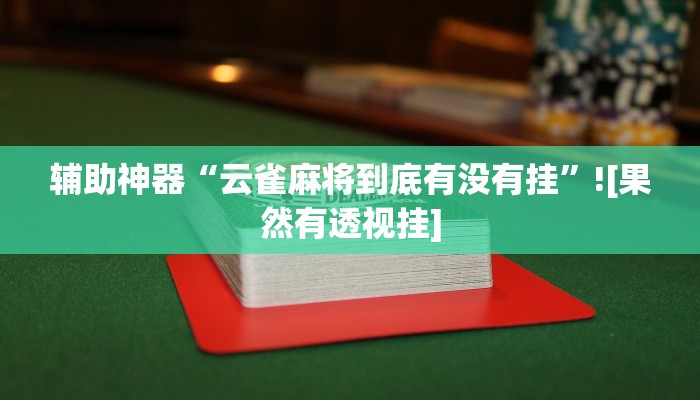 辅助神器“云雀麻将到底有没有挂”![果然有透视挂]