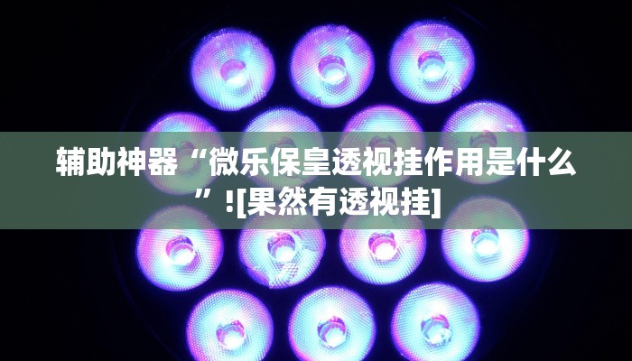 辅助神器“微乐保皇透视挂作用是什么”![果然有透视挂]