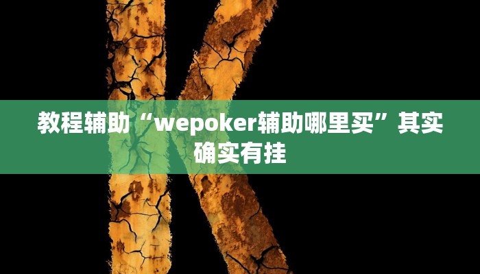 教程辅助“wepoker辅助哪里买”其实确实有挂