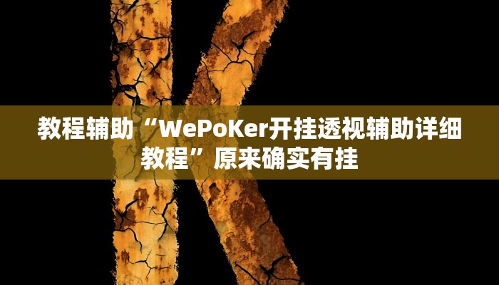 教程辅助“WePoKer开挂透视辅助详细教程”原来确实有挂