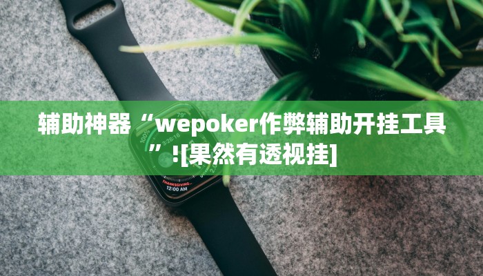 辅助神器“wepoker作弊辅助开挂工具”![果然有透视挂]