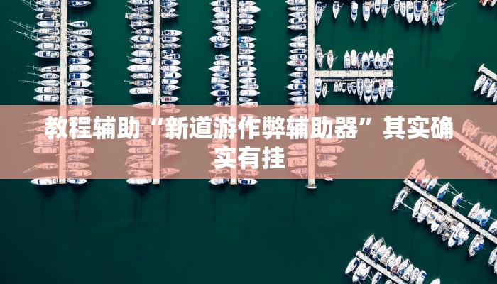 教程辅助“新道游作弊辅助器”其实确实有挂