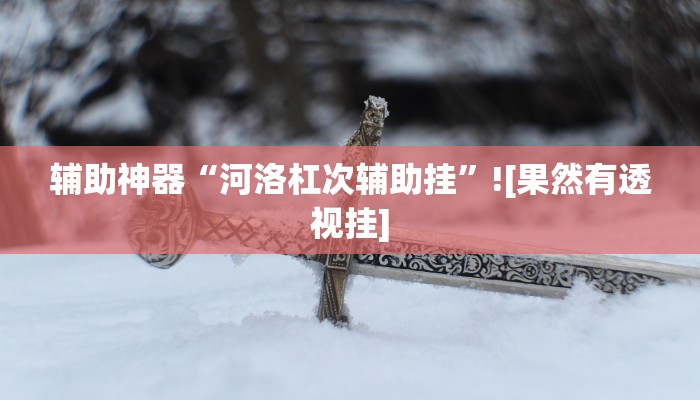 辅助神器“河洛杠次辅助挂”![果然有透视挂]