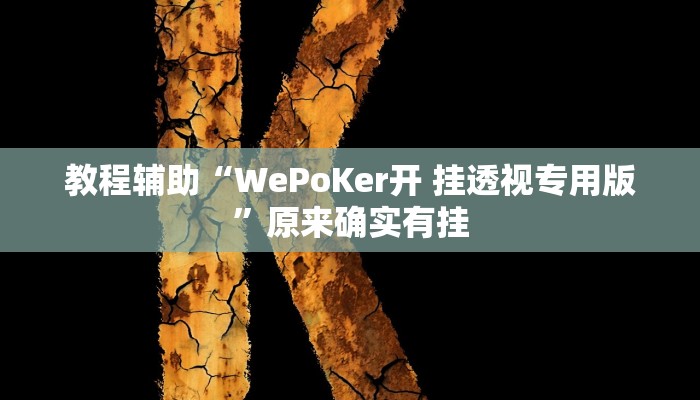 教程辅助“WePoKer开 挂透视专用版”原来确实有挂