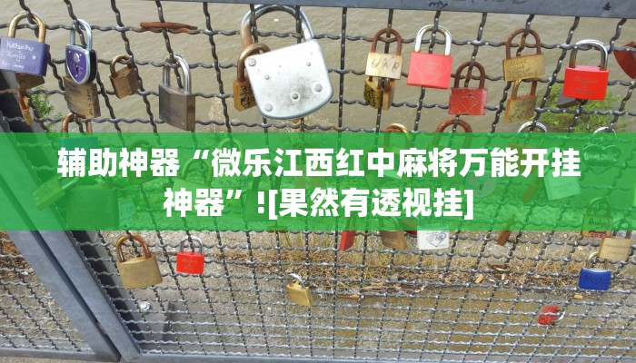 辅助神器“微乐江西红中麻将万能开挂神器”![果然有透视挂]