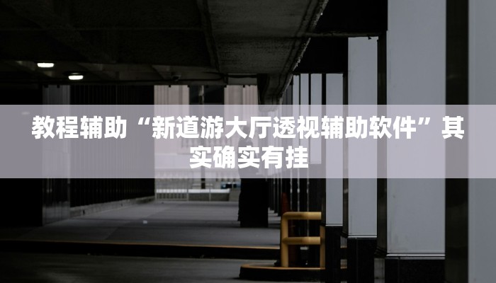 教程辅助“新道游大厅透视辅助软件”其实确实有挂