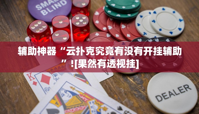 辅助神器“云扑克究竟有没有开挂辅助”![果然有透视挂]