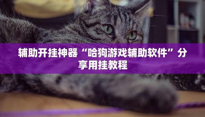 辅助开挂神器“哈狗游戏辅助软件”分享用挂教程