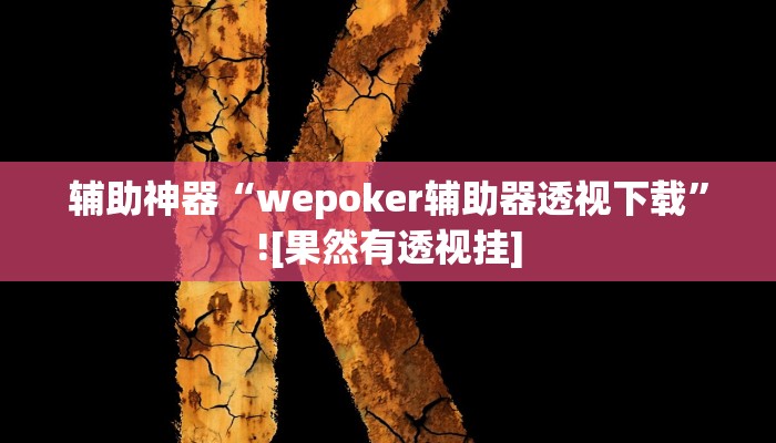 辅助神器“wepoker辅助器透视下载”![果然有透视挂]