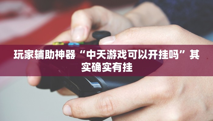 玩家辅助神器“中天游戏可以开挂吗”其实确实有挂