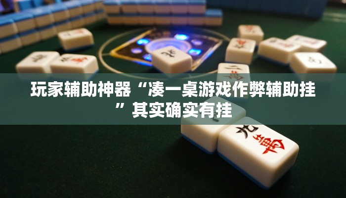 玩家辅助神器“凑一桌游戏作弊辅助挂”其实确实有挂