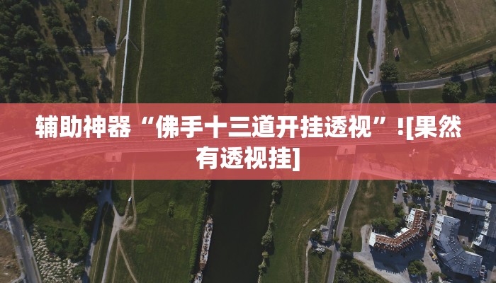 辅助神器“佛手十三道开挂透视”![果然有透视挂]