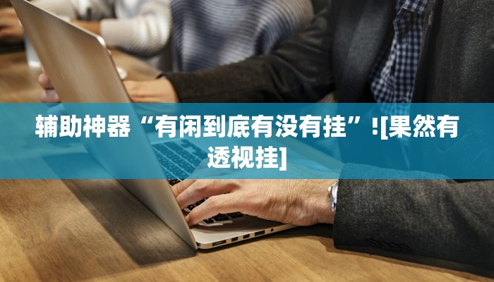 辅助神器“有闲到底有没有挂”![果然有透视挂]