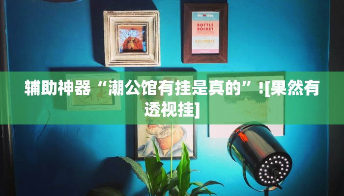 辅助神器“潮公馆有挂是真的”![果然有透视挂]