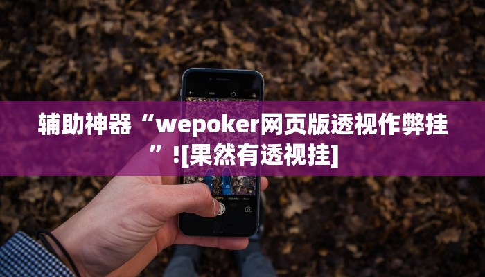 辅助神器“wepoker网页版透视作弊挂”![果然有透视挂]