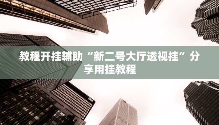 教程开挂辅助“新二号大厅透视挂”分享用挂教程
