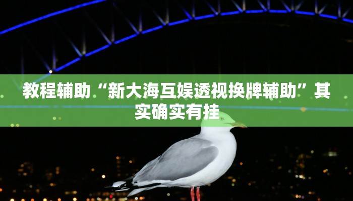 教程辅助“新大海互娱透视换牌辅助”其实确实有挂