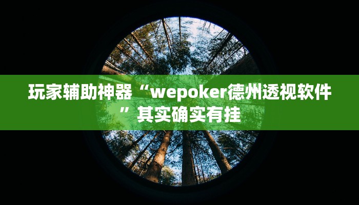 玩家辅助神器“wepoker德州透视软件”其实确实有挂