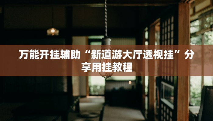 万能开挂辅助“新道游大厅透视挂”分享用挂教程